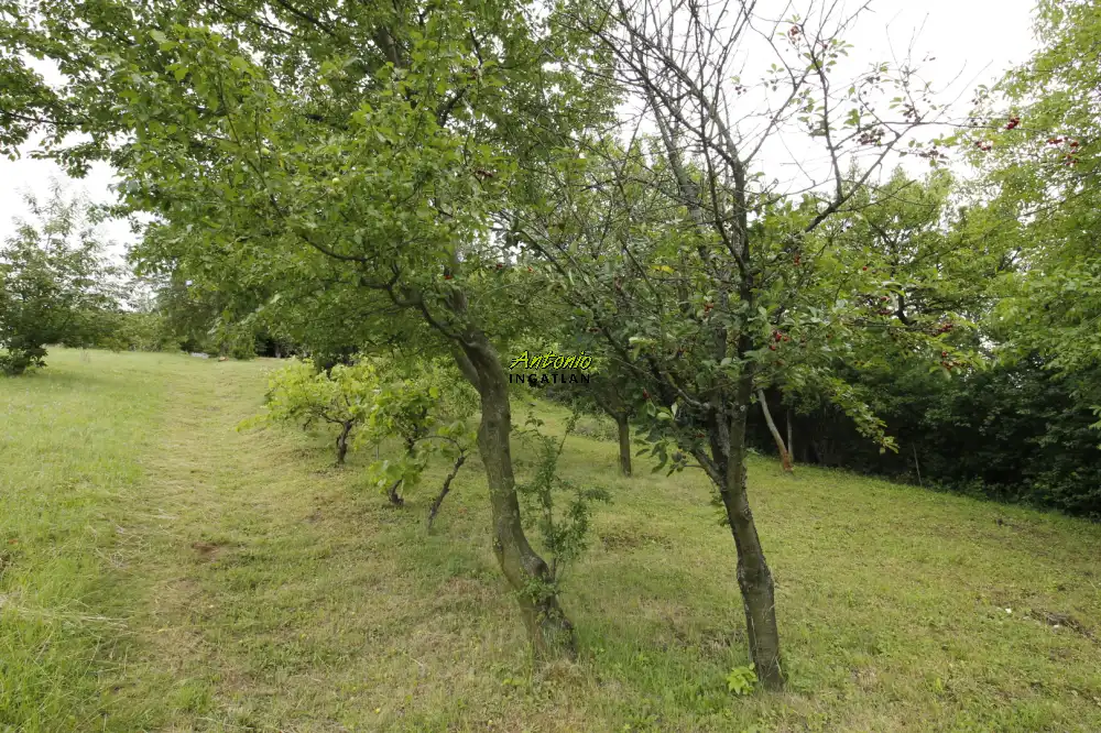 Győr-Moson-Sopron megye - Ágfalva