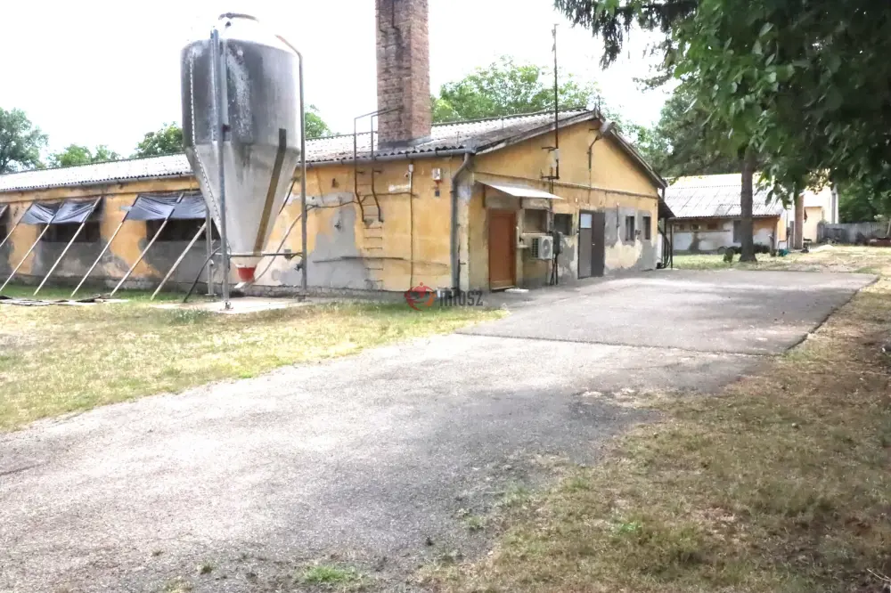 Pest megye - Albertirsa