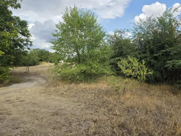 Eladó Építési telek, Albertirsa 2132 m² 12 M Ft