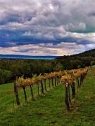 Veszprém megye - Balatoncsicsó