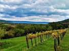 Veszprém megye - Balatoncsicsó