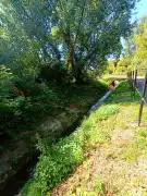 Veszprém megye - Balatonfüred