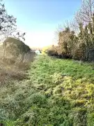 Zala megye - Balatonmagyaród