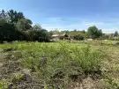 Somogy megye - Balatonvilágos