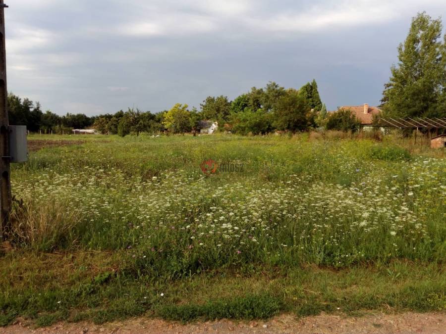 eladó  Építési telek, Békéscsaba