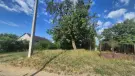 Hajdú-Bihar megye - Bodaszőlő
