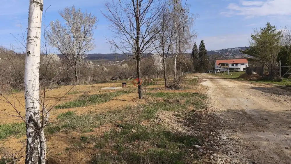 Pest megye - Budakeszi