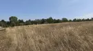 Pest megye - Budakeszi