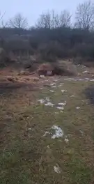 Nógrád megye - Cserháthaláp