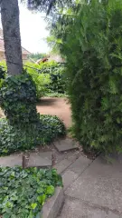 Pest megye - Csörög