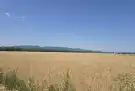 Pest megye - Csörög