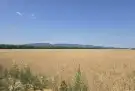 Pest megye - Csörög