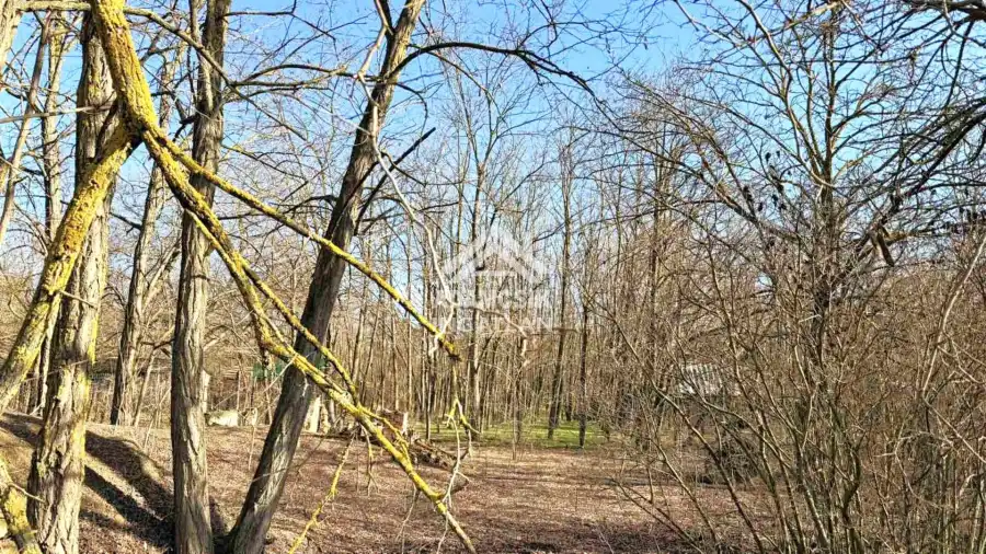 eladó  Építési telek, Dabas