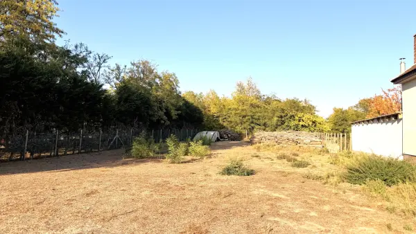 Eladó Építési telek, Dabas 1155 m² 34 M Ft