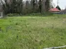 Pest megye - Dömsöd
