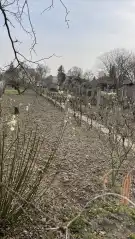 Fejér megye - Dunaújváros