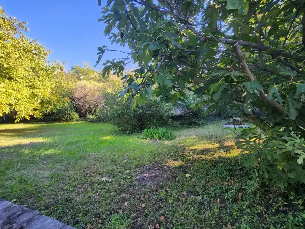 Eladó Építési telek, Érd 906 m² 54 M Ft