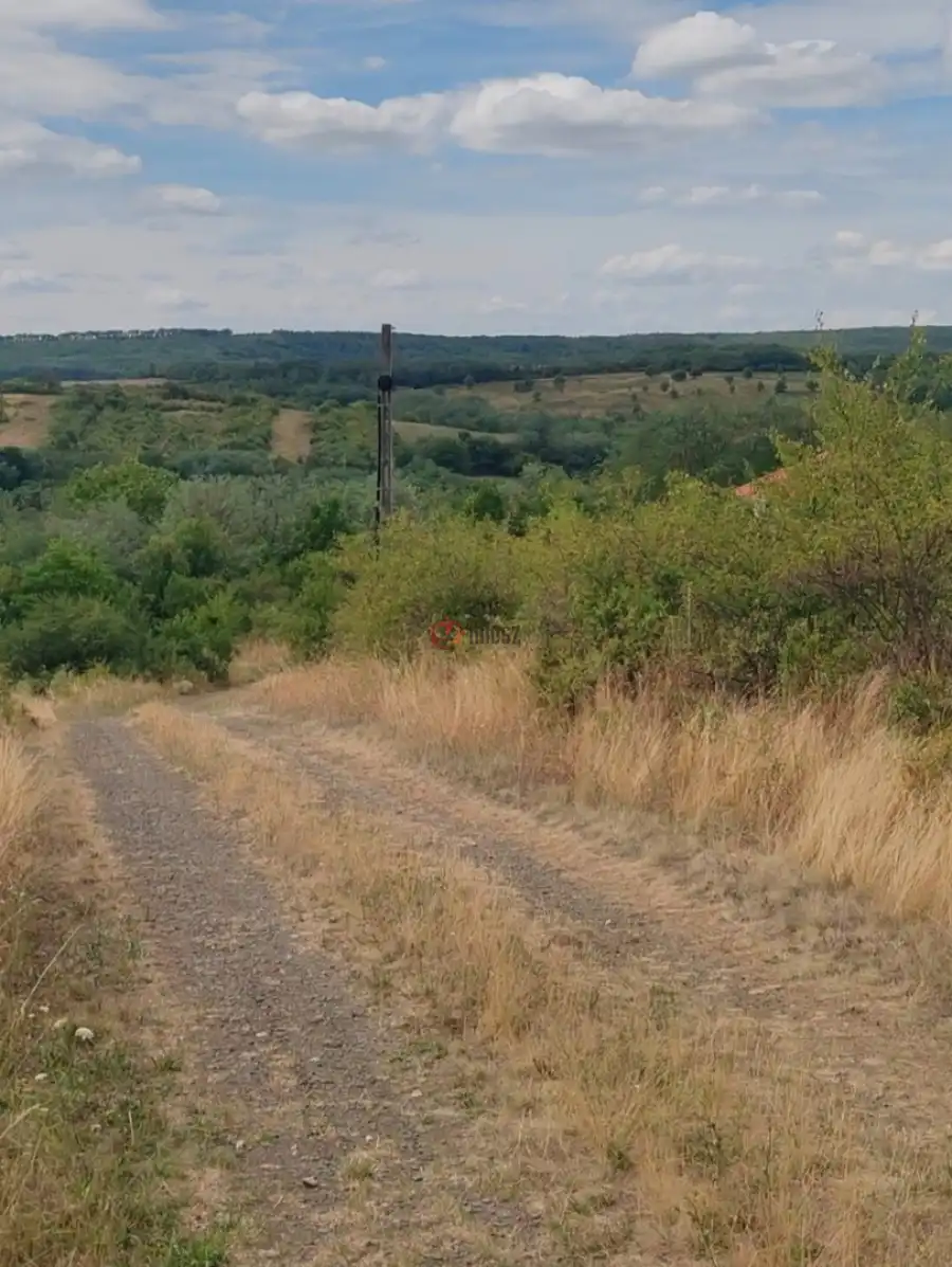 eladó  Építési telek, Erdőkürt