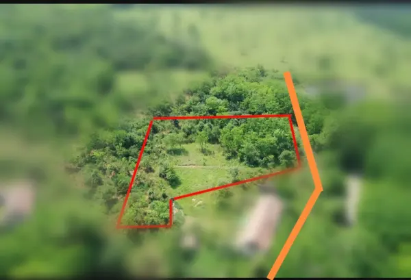 Eladó Építési telek, Erdőkürt 1000 m² 4.1 M Ft