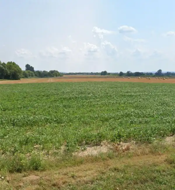 Eladó Építési telek, Felsőrajk 1810 m² 1.9 M Ft