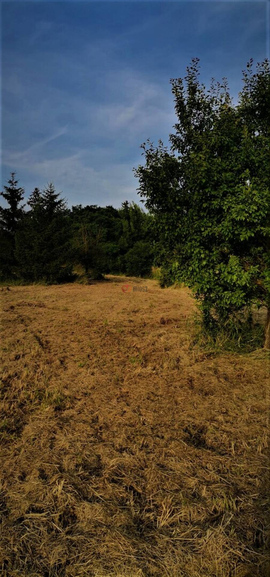 eladó  Építési telek, Fertőszentmiklós