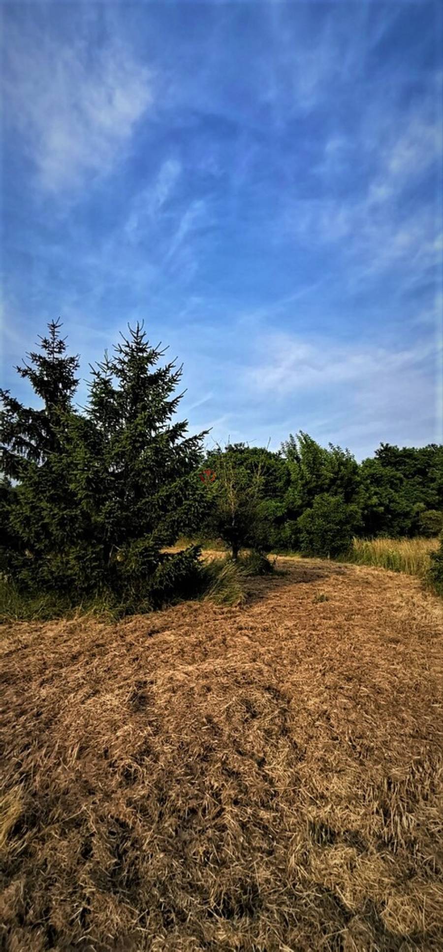 eladó  Építési telek, Fertőszentmiklós