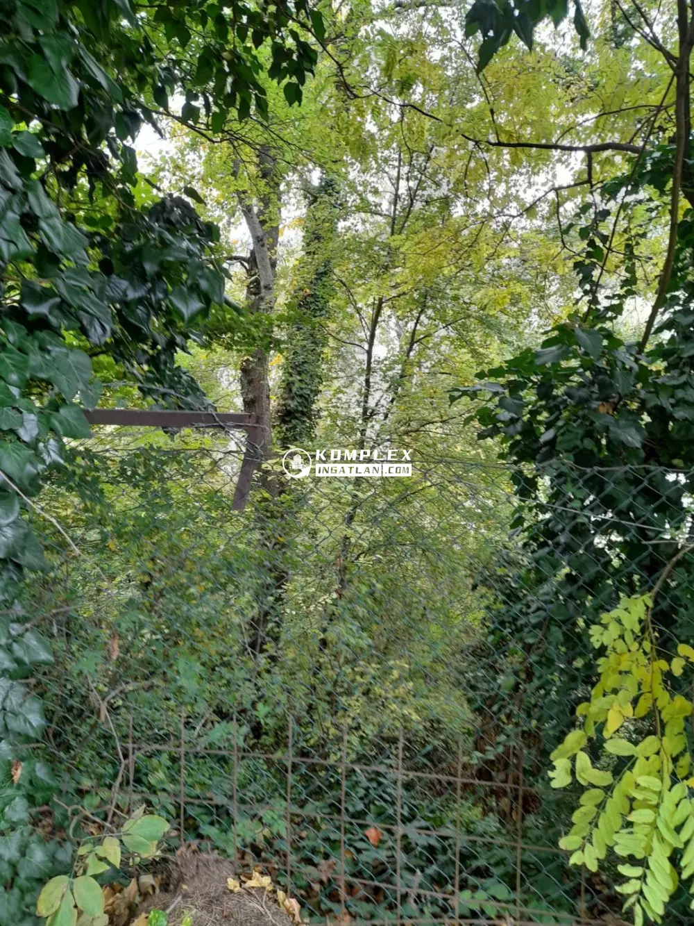 Pest megye - Göd
