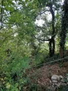 Pest megye - Göd