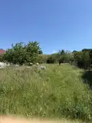 Pest megye - Gödöllő