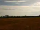 Veszprém megye - Kisapáti