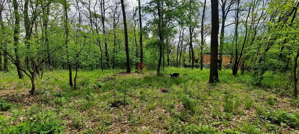 Pest megye - Kismaros