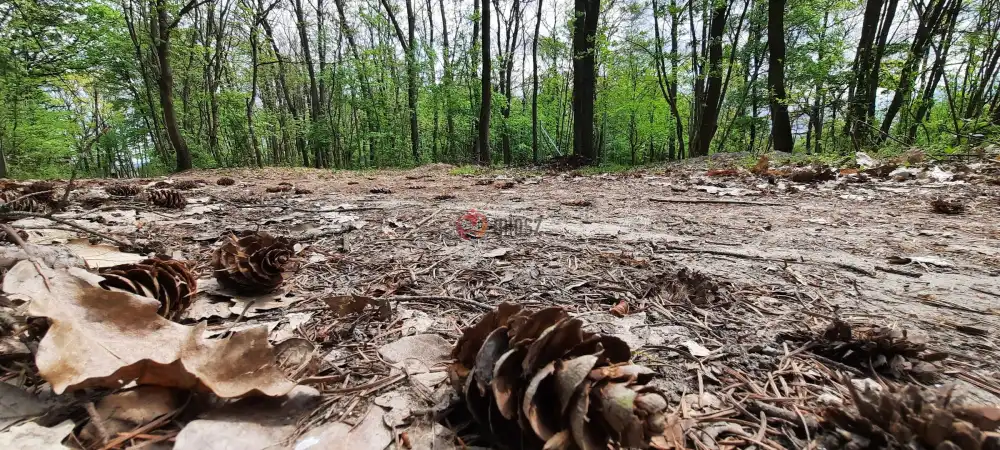 Pest megye - Kismaros