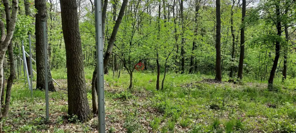 Pest megye - Kismaros