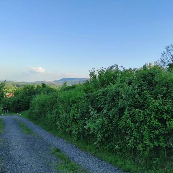 eladó  Építési telek, Kismaros