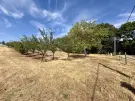 Pest megye - Kosd