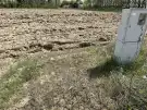 Bács-Kiskun megye - Lajosmizse