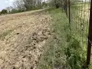 Bács-Kiskun megye - Lajosmizse