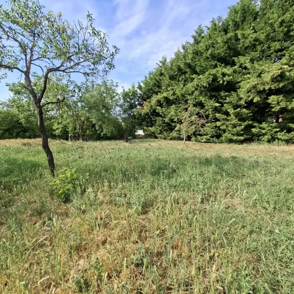 Eladó Építési telek, Mány 900 m² 25 M Ft