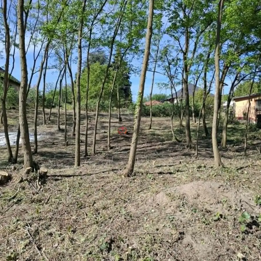 eladó  Építési telek, Monorierdő