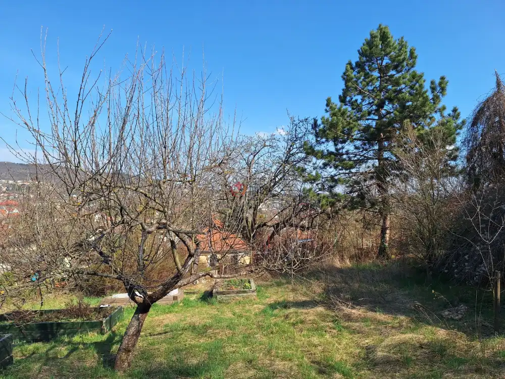 Pest megye - Nagykovácsi