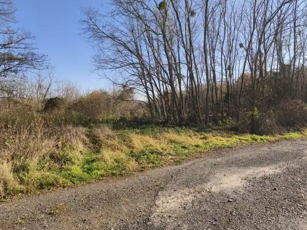 Eladó Építési telek, Nagypáli 12209 m² 55 M Ft