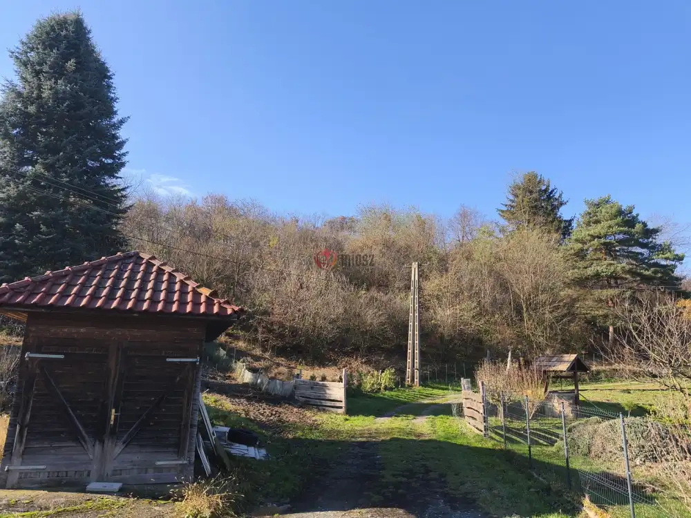 Zala megye - Nagypáli