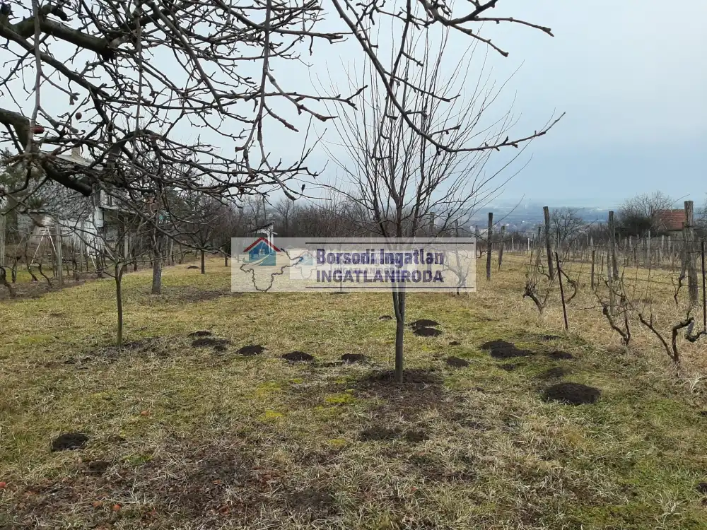 Borsod-Abaúj-Zemplén megye - Nyékládháza