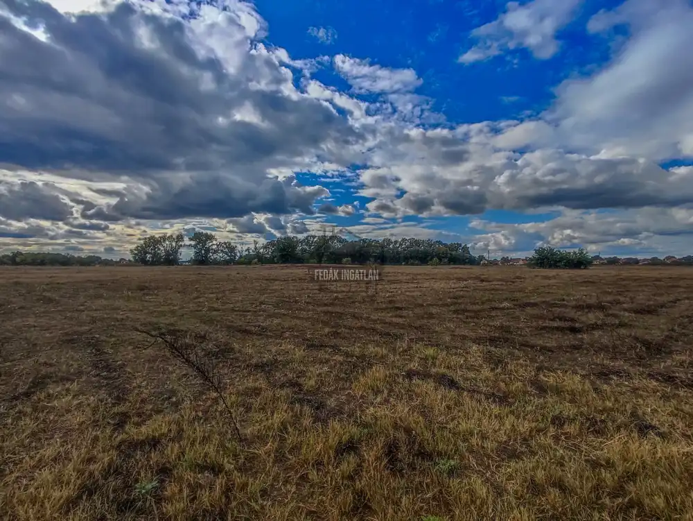 Pest megye - Örkény