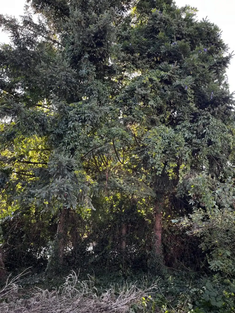 Komárom-Esztergom megye - Oroszlány