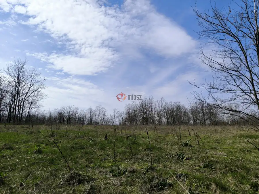 eladó  Építési telek, Paks