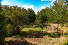 Nógrád megye - Pásztó