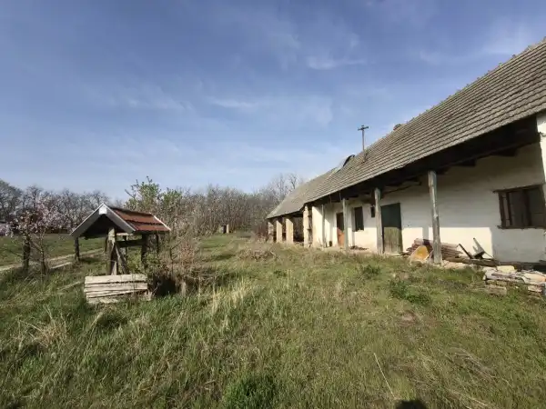 Eladó Építési telek, Pusztahencse 1643 m² 4.5 M Ft