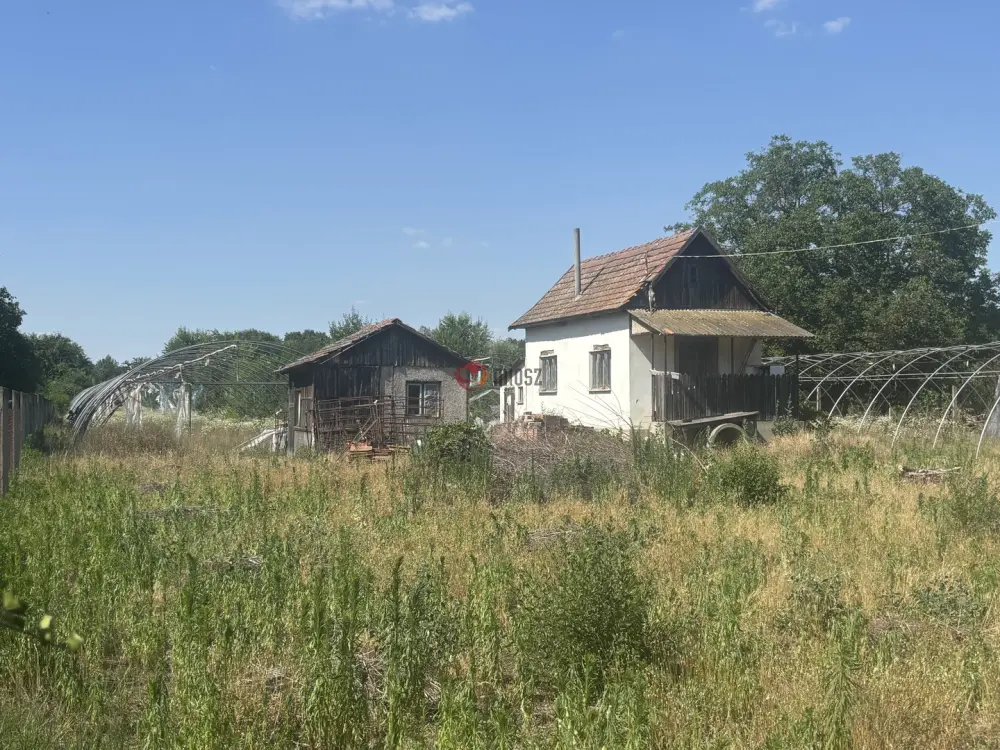 Csongrád megye - Sándorfalva