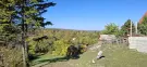 Győr-Moson-Sopron megye - Sopron
